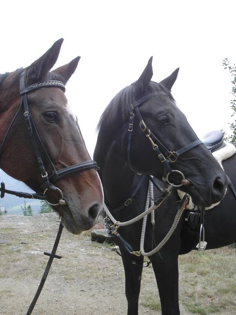 Sadonna und Kajetan bei einem Wanderritt